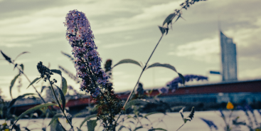 Banner image from Marcel - Singer from Wien
