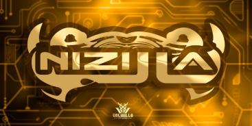 Profilbanner von Nizilla - Gitarrist*in aus St. Gallen