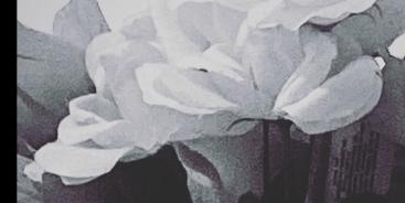 Profilbanner von Jaime Rivera - Singer-Songwriter*in aus San Francisco