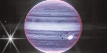 Banner image from Brutly Honest - Guitarist from Vienna