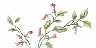 Profilbanner von Amanda Zajac - Sängerin aus Wien