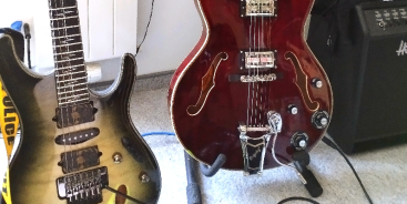 Banner image from curry - Guitarist from Frick