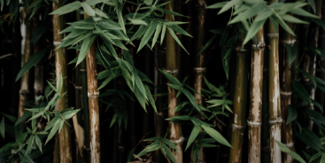 Banner image from oni_sakaro - Music producer from Frankfurt am Main