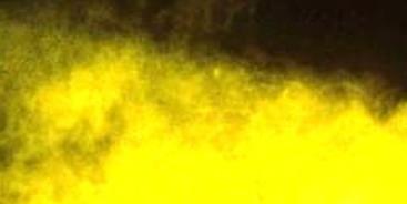 Banner image from Jens - Singer from Werl