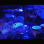 Profile image from Jens Stäudel - Drummer from Leverkusen