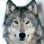 Seo.images.profile.avatar.name-category-city