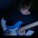 Profile image from Finn Marti - Guitarist from Oberwart
