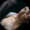 Profile image from Irina Eliseeva - Singer from Kopenhagen