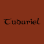 Profile image from Tuduriel - Band from Schaffhausen