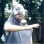 Profilbild von Christian Jacobi - Textdichter aus Bonn