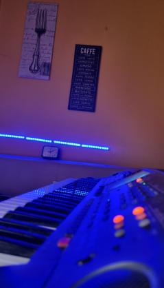Gallery image from PLAY☆MUSIC☆OFFICIAL - Keyboard player from Almersbach