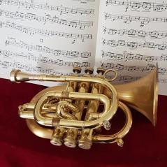 Galeriebild von Matjö Pé - Instrumentalist aus Berlin