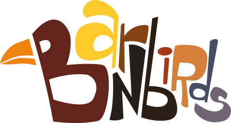 Galeriebild von Barnbirds - Band aus Münster