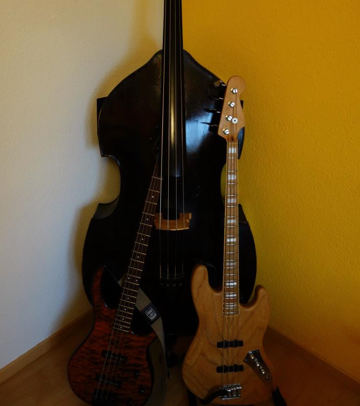 Thamos Schäfer - Bassist*in aus Spiesen-Elversberg Galeriebild von Thamos Schäfer - Bassist*in aus Spiesen-Elversberg