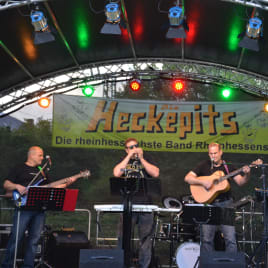 Profilbild von Riki Jost Sänger*in aus Alzey