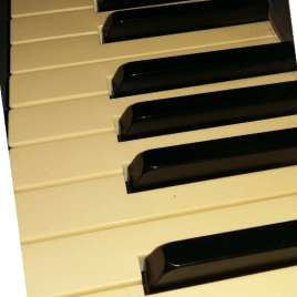 Profilbild von Stephan Radzuweit Keyboarder aus Barleben