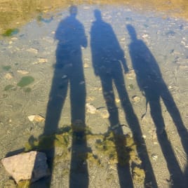 Seo.images.profile.avatar.name-category-city