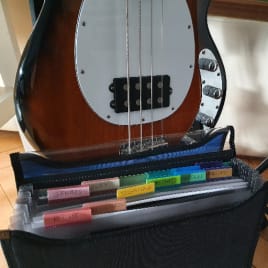 Profilbild von Changnoy Bassist*in aus Bâle