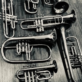 Profilbild von Paul Trompeter*in aus Münster