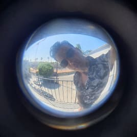 Profilbild von Henry Martin Schlagzeuger*in aus Dülmen