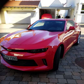 Profilbild von Emil-Victor Andrievici Bassist*in aus Bensheim