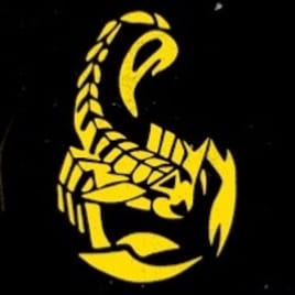 Profilbild von Bene Bäßler Gitarrist aus Unterhaching