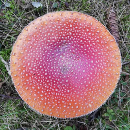 Seo.images.profile.avatar.name-category-city