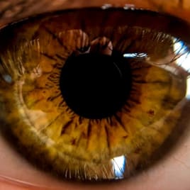 Profilbild von David Musikproduzent*in aus Karlsruhe