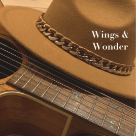 Profilbild von Wings & Wonder Band aus Hamburg