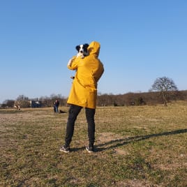 Profilbild von Daniel Gitarrist*in aus Wunstorf