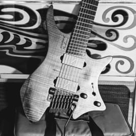 Profilbild von TheShredder Gitarrist*in aus Steinbrunn