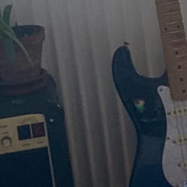 Profilbild von David Gitarrist*in aus Wiesbaden