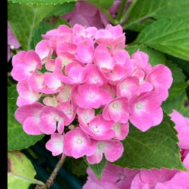 Profilbild von Sara Sänger*in aus Essen