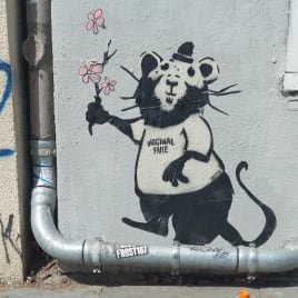 Profilbild von DrSka Rhythmiker*in aus Söhlde