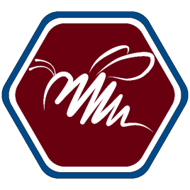 Profilbild von Wild Bee Audio - Dein online Tonstudio Tonstudio aus Nassau