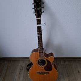 Profilbild von Connor Bassist aus Mainz