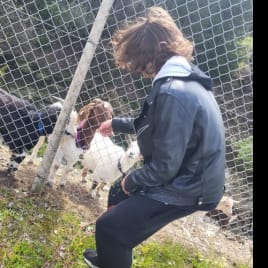 Profilbild von Dmnk Bassist aus Sonneberg