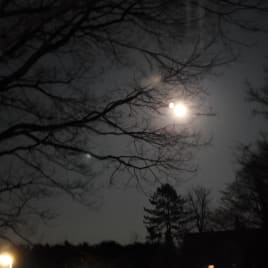 Profilbild von LAS Sängerin aus Hamburg