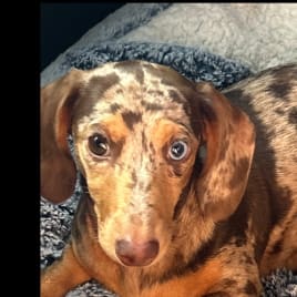 Seo.images.profile.avatar.name-category-city