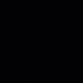 Profilbild von Andy Bassist*in aus Hamm