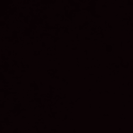 Profilbild von Burning Mariah Band aus Bern