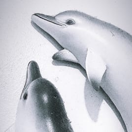 Seo.images.profile.avatar.name-category-city