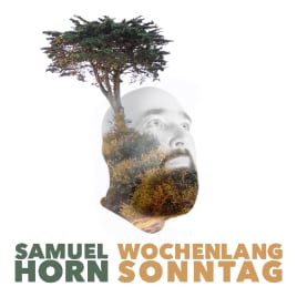 Profilbild von Samuel Horn Gitarrist aus Köln