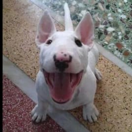 Seo.images.profile.avatar.name-category-city