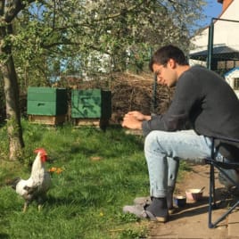 Profilbild von Giulio Isacchini Gitarrist*in aus Potsdam