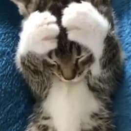 Profilbild von Prod. By Birdo Musikproduzent aus Aschaffenburg