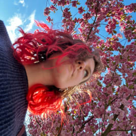 Profilbild von Anastasiia Schlagzeuger*in aus Stadthagen