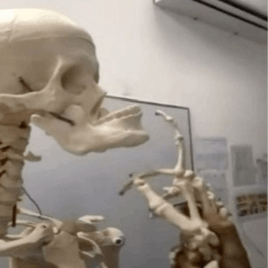 Profilbild von Sam Gitarrist*in aus Neuss