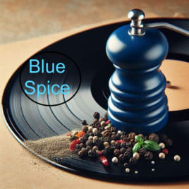 Profilbild von Blue Spice Band aus Ingelheim am Rhein