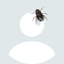 Profilbild von Ingwer Knolle Gitarrist aus Herbstein